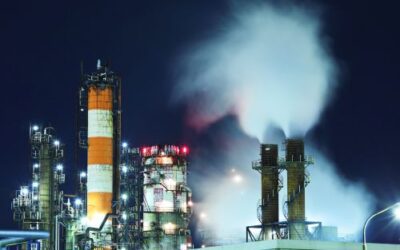 Refining Resilience in the Eye of Regulatory Uncertainty